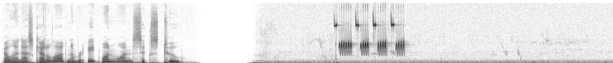 Tumbes Sparrow - ML81162