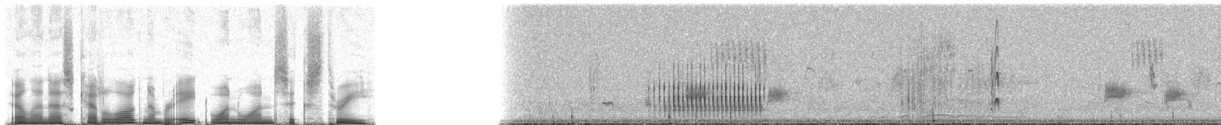 Scarlet-backed Woodpecker - ML81163