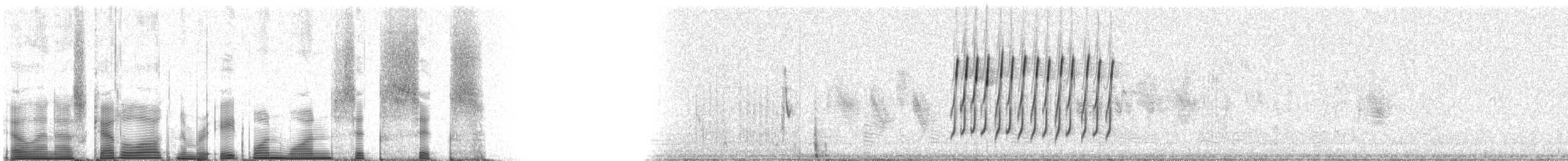 Tumbes Sparrow - ML81166