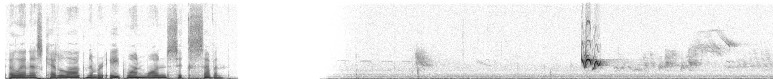 střízlík bělobrvý - ML81167