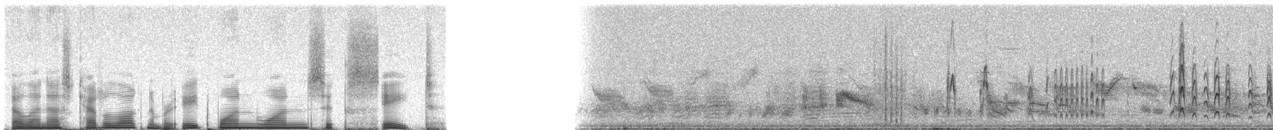 Scarlet-backed Woodpecker - ML81168