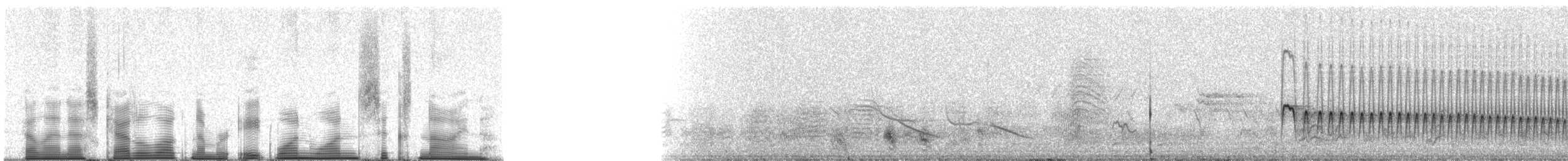 Streak-headed Woodcreeper - ML81169