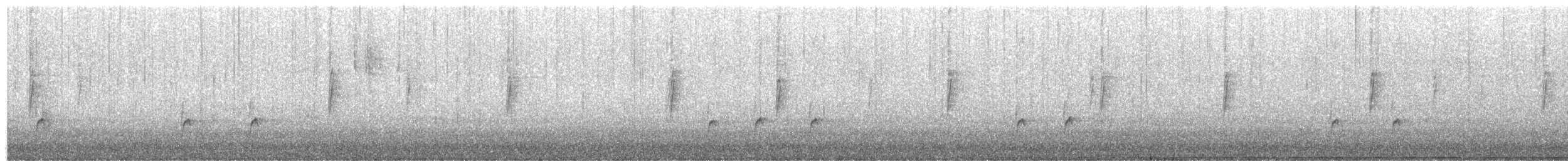 Moucherolle de Coues - ML81245891