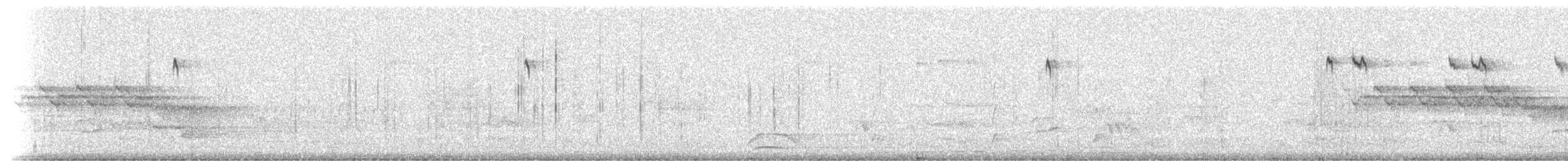 Brown Creeper - ML81276951