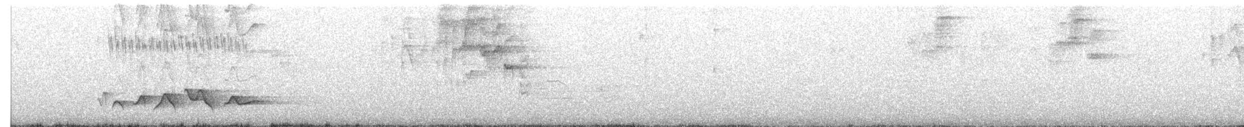 Rostbrauenvireo - ML81282881