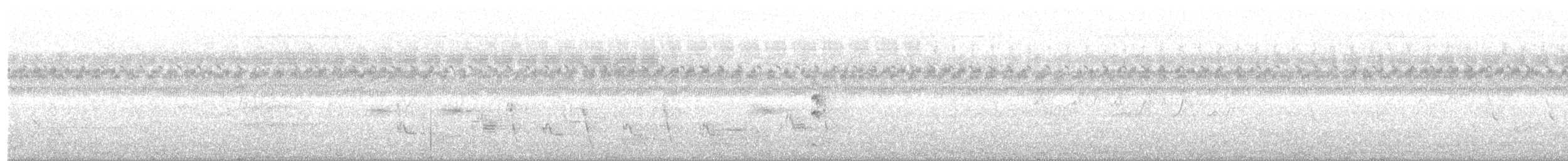 灰胸秧雞 - ML81284451