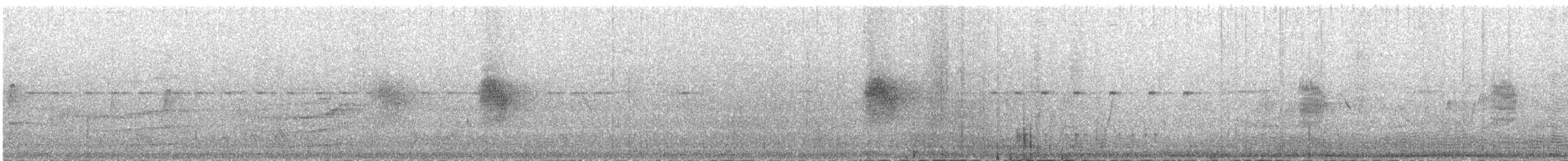 Ластівка північна (підвид ridgwayi/stuarti) - ML81296441