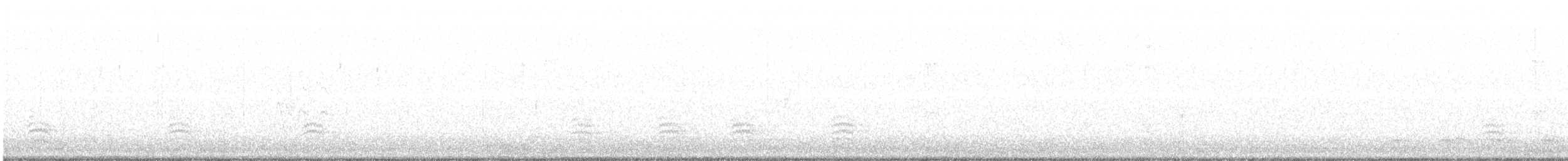 Weißbrustkleiber - ML81335161