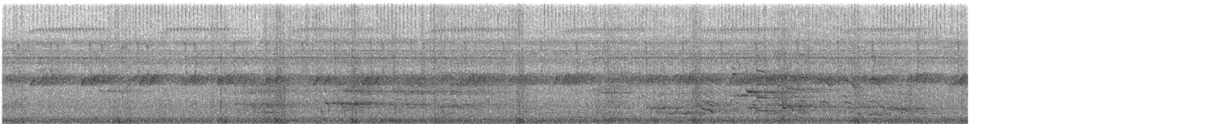 Светлобрюхий колибри-отшельник - ML81338661