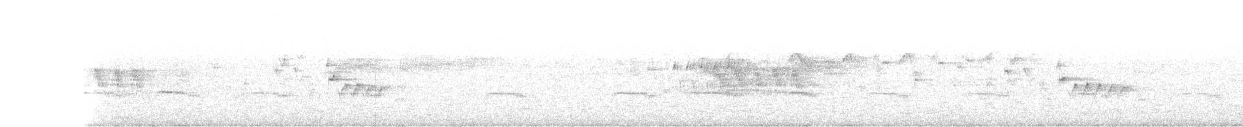 Schmalspiegel-Nachtschwalbe - ML81364691