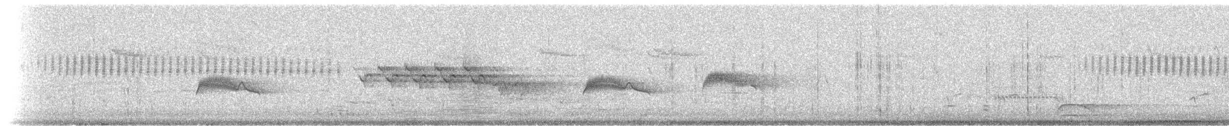 Brown Creeper - ML81373241