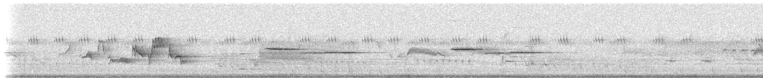 Western Warbling Vireo - ML81375271