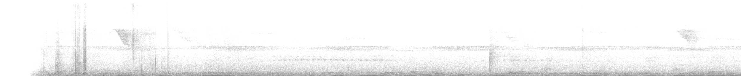 Tinamou à petit bec - ML81376471