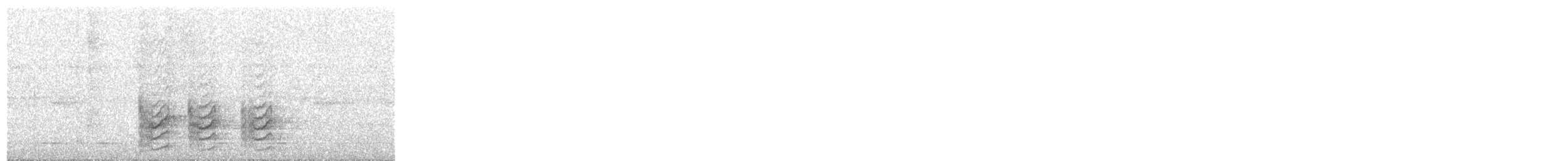 Pale-bellied Tyrant-Manakin - ML81402971