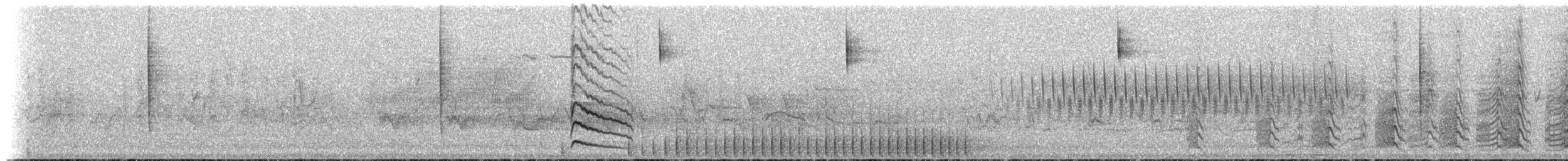 Красногрудый дятел-сокоед - ML81610771