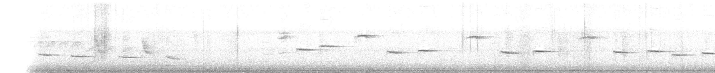 Куцехвостый крапивник - ML81648031