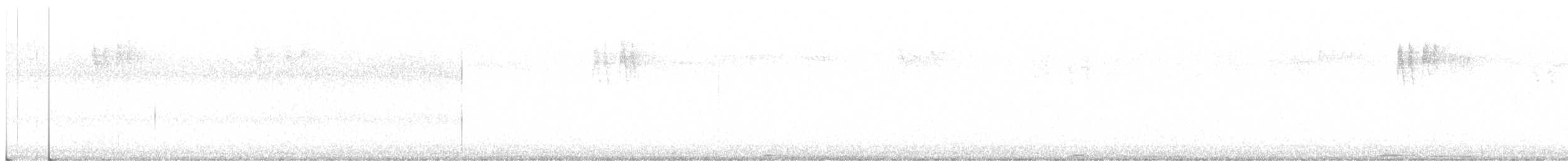 holub pruhoocasý - ML81784991