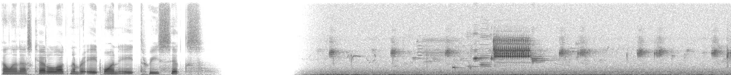 Sargento Alirrojo (grupo phoeniceus) - ML81836