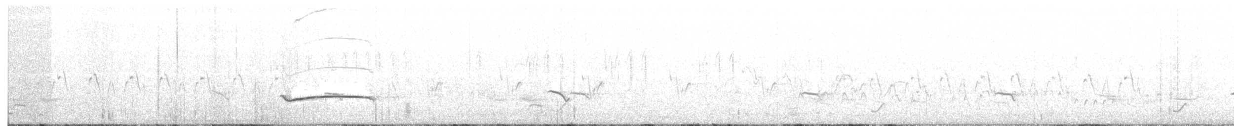 Blue-naped Mousebird - ML81871921