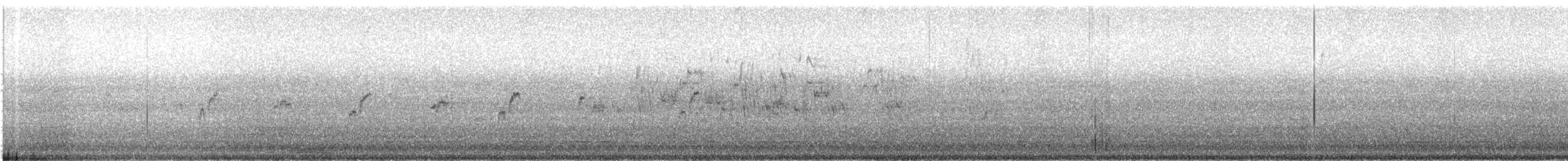 Gray-hooded Sierra Finch - ML82018241