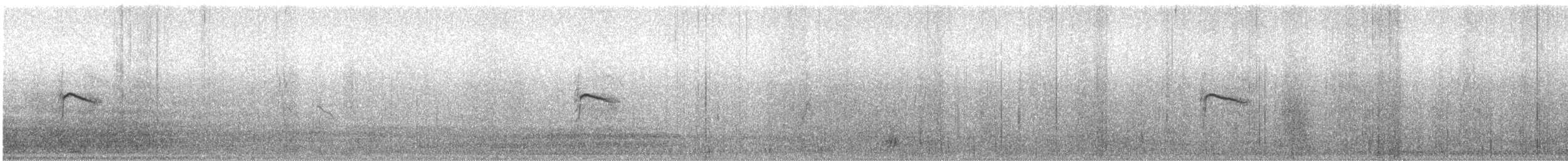 Пестрогрудый норник - ML82019261
