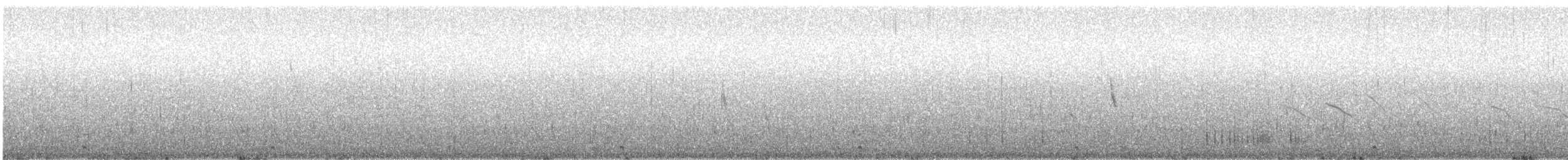 Серогрудый зобатый бегунок - ML82019851
