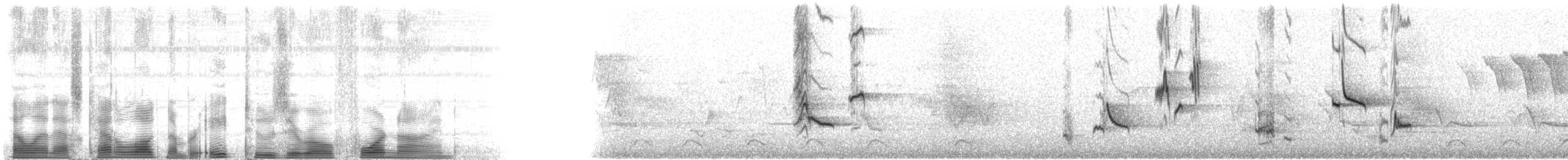 Gray Catbird - ML82049