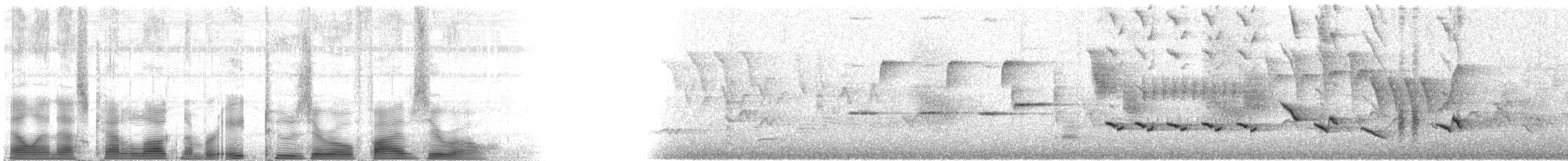 Baltimore Oriole - ML82050