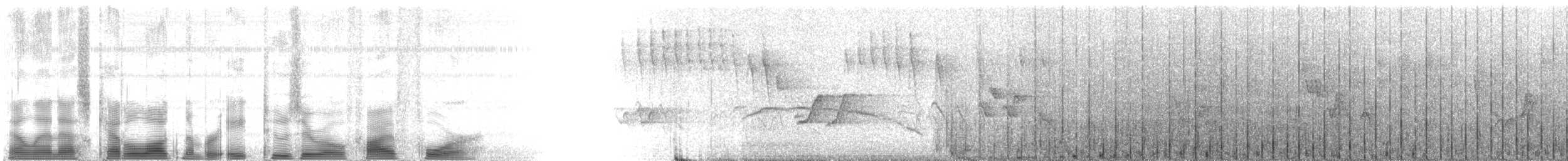 Common Loon - ML82054