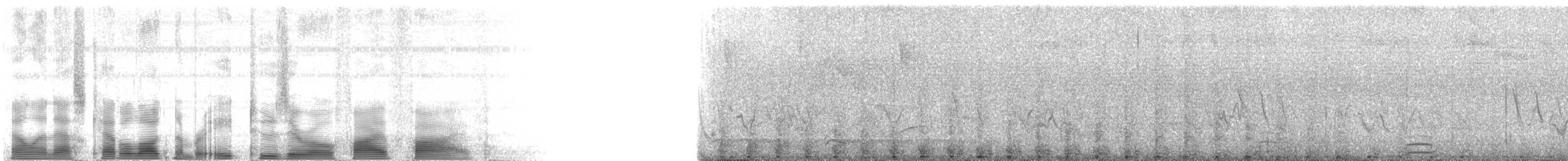 Common Loon - ML82055