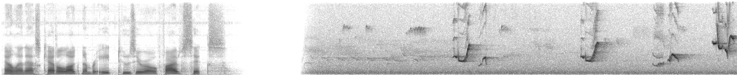 Gray Catbird - ML82056