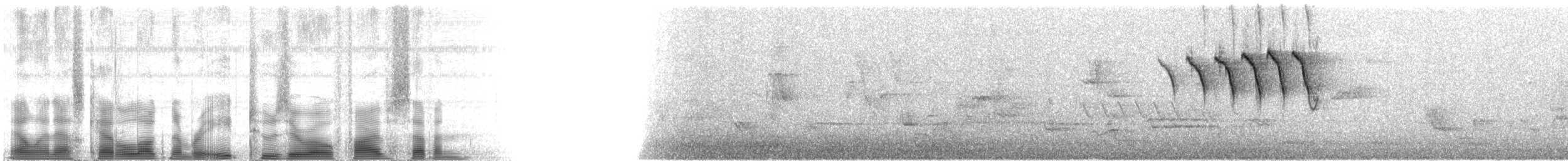 American Redstart - ML82057