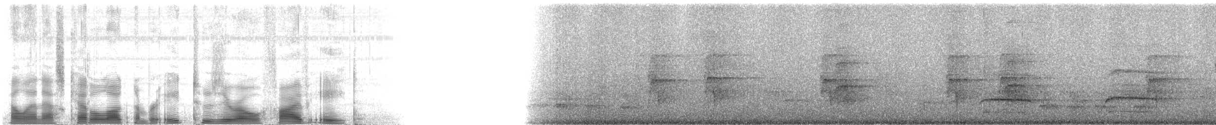 Red-tailed Hawk - ML82058