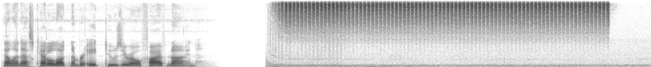 Common Coneheads - ML82059