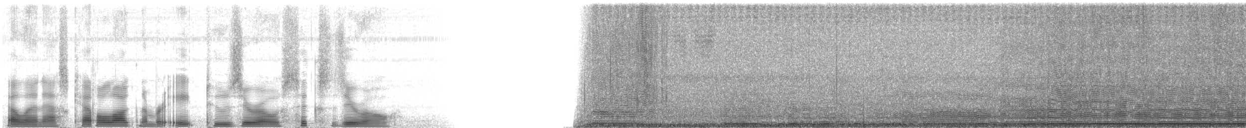 Bumble Bees - ML82060