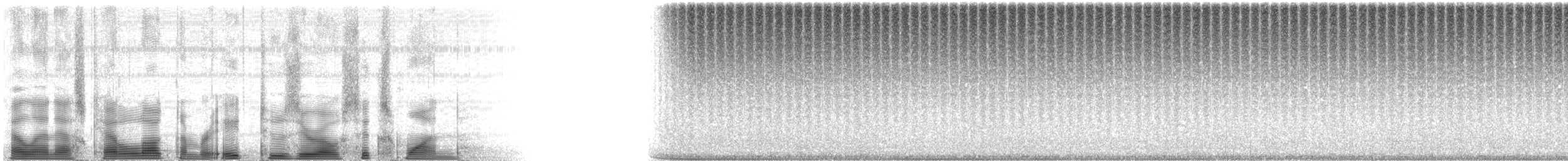 Common Coneheads - ML82061