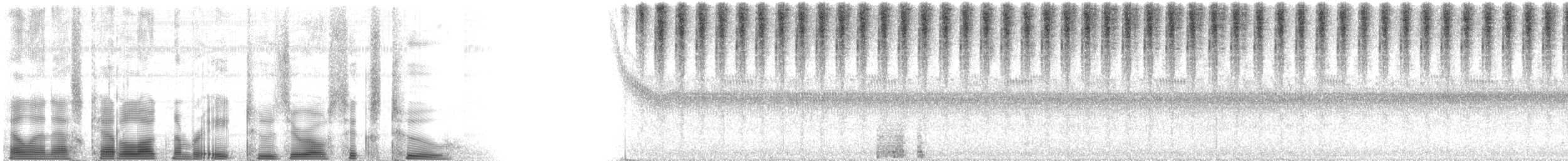 Common Coneheads - ML82062