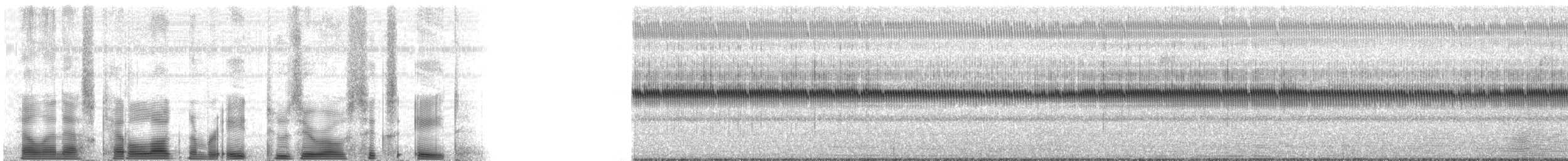 True Crickets - ML82068