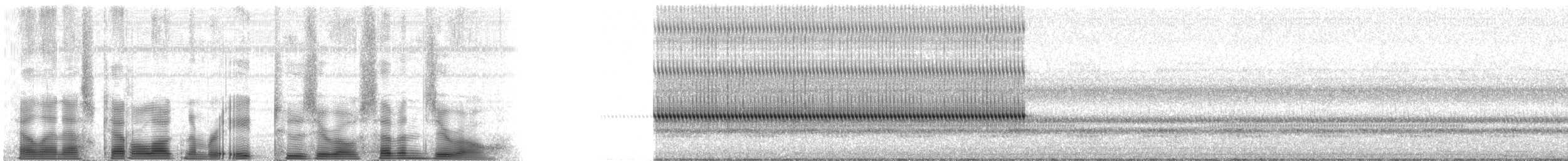 Black-horned Tree Cricket - ML82070