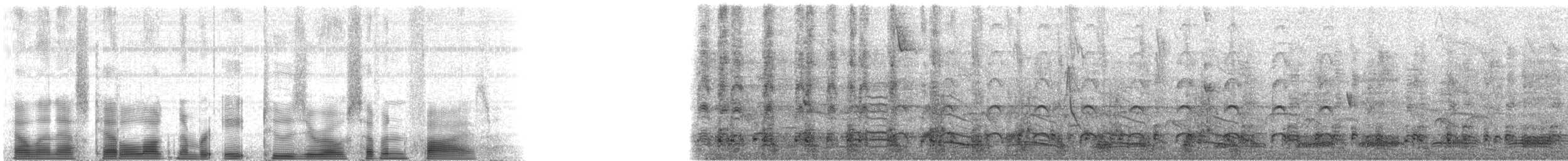 Buff-necked Ibis - ML82075