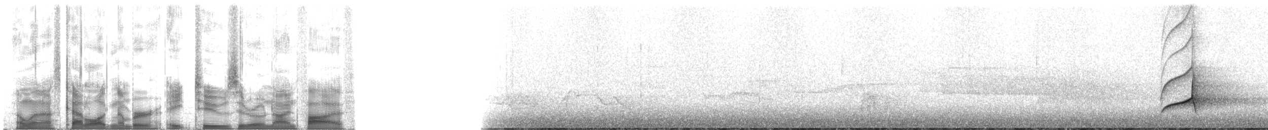 Sarı Karınlı Sinekkapan - ML82095
