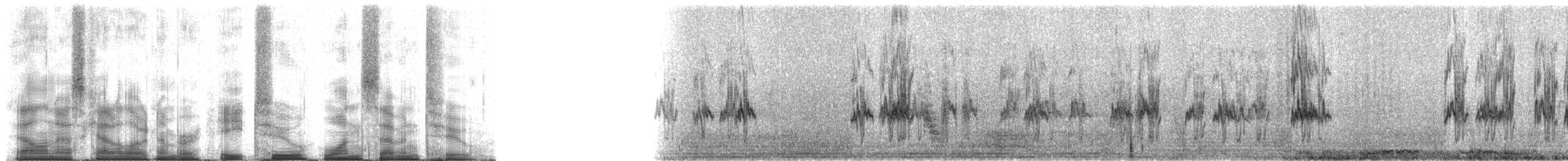 Zitronensittich - ML82172