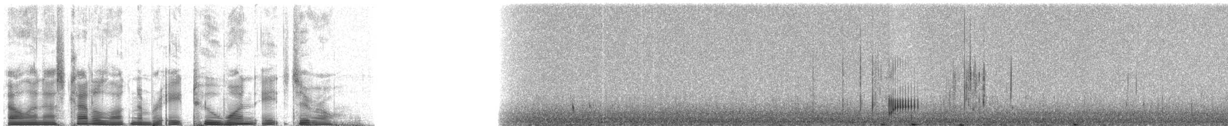 Андская савка (ferruginea) - ML82180