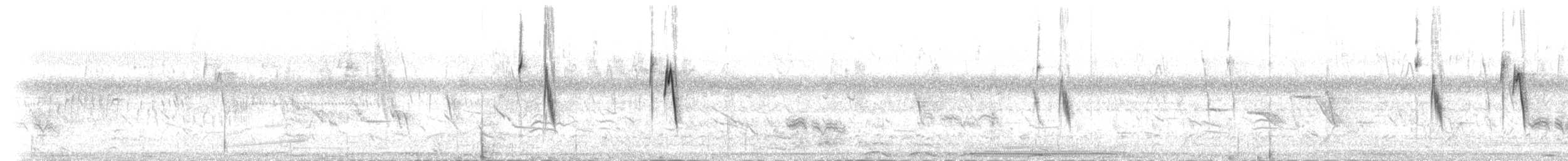 Sicale des savanes (groupe chrysops) - ML82185741