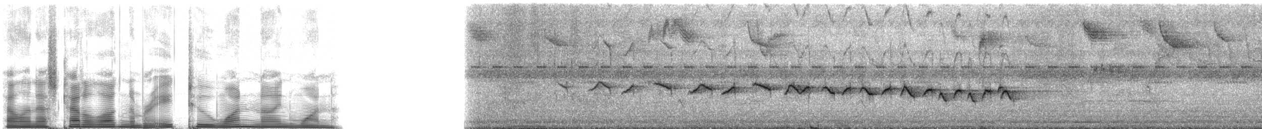 olivengulstrupe (semiflava) - ML82191