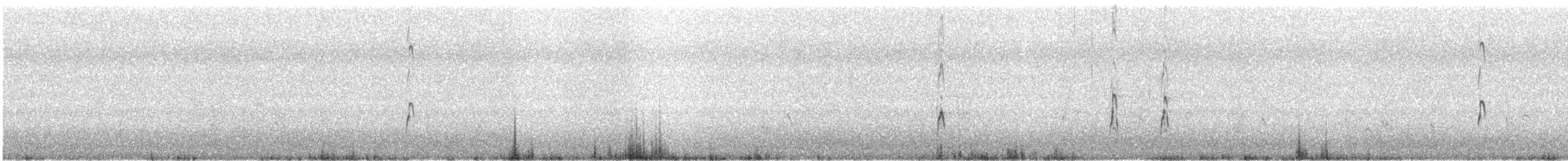 חרטומנית ארוכת-מקור - ML82243801