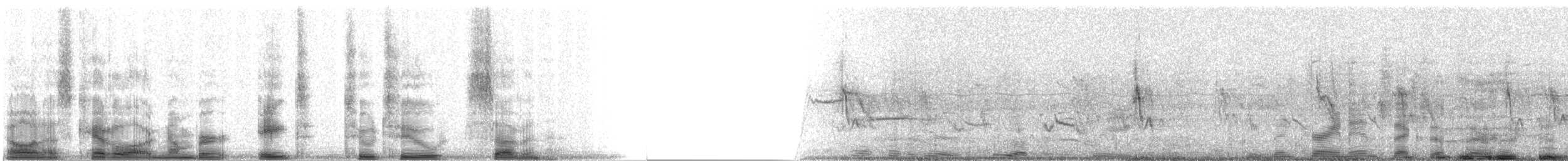 Гладкоклювая ани - ML8227