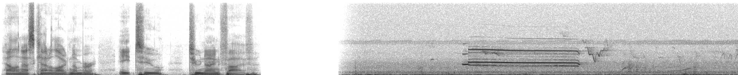 Горная агуйя-отшельник - ML82295