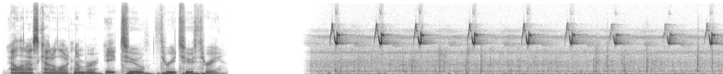 Большеклювый колибри-отшельник [группа moorei] - ML82323