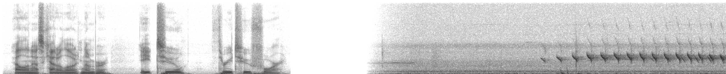 Bıyıklı Karıncaçıvgını (obscura) - ML82324